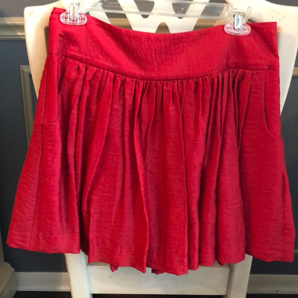 Express Skirt